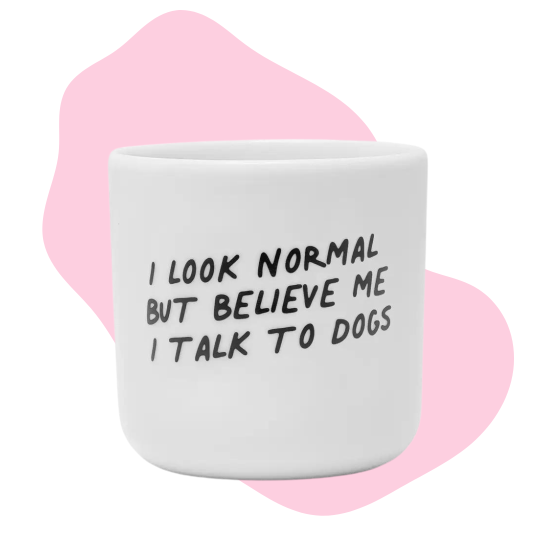 I look NORMAL but believe me I talk to DOGS Mug