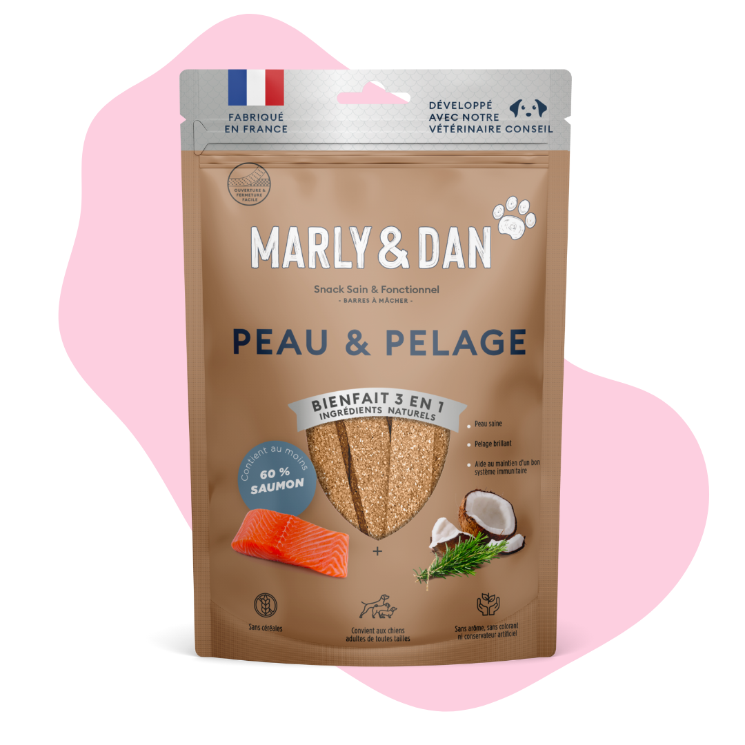 Friandises Peau & Pelage pour Chien